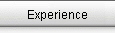 Experience